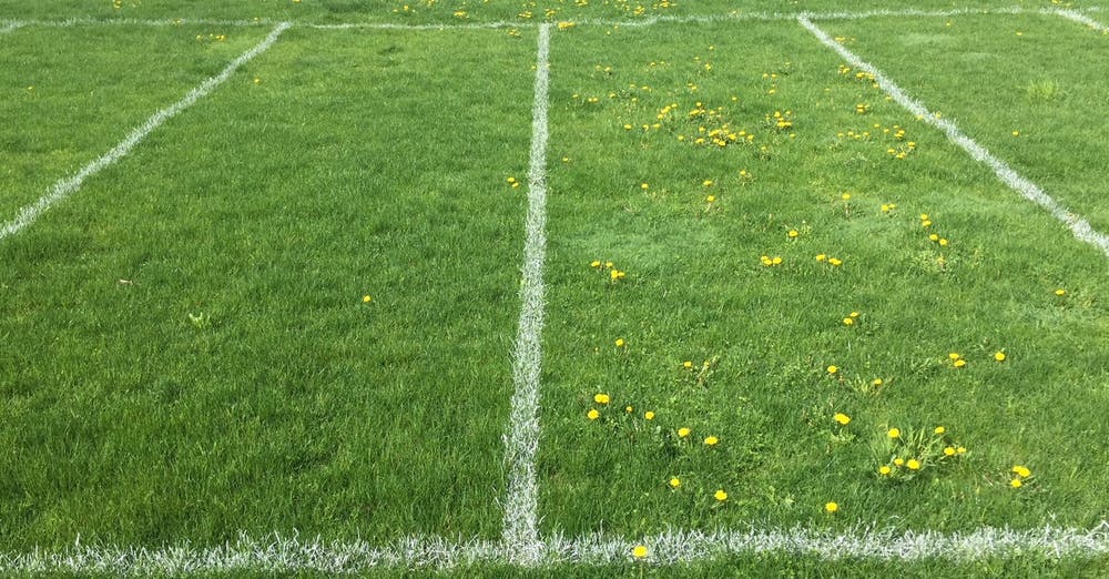 what do golf courses use to kill weeds
