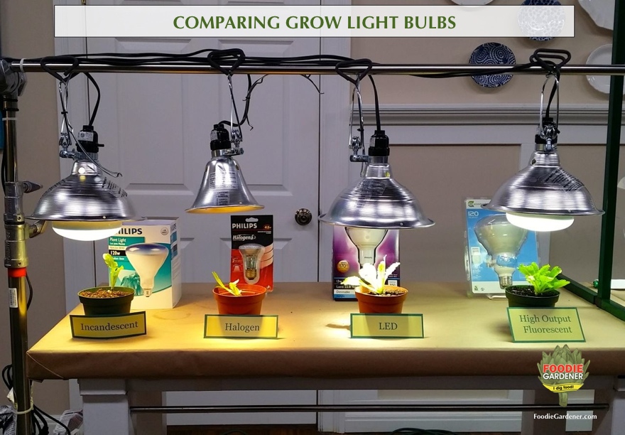do grow lights work through glass