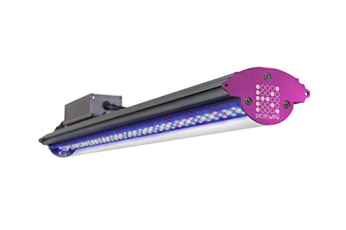 Kind LED X40 2-Foot 40w Indoor LED Grow Light Bar ...