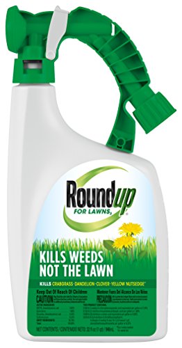Roundup For Lawns3 Ready-To-Spray (Northern), 32 oz. - Lawn Safe ...