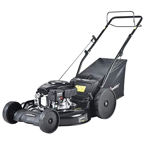 PowerSmart Lawn Mower, 22-inch & 170CC, Gas Powered Self-Propelled Lawn ...