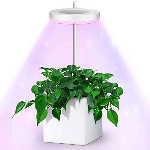 eWonLife Grow Lights for Indoor Plants Full Spectrum, Small Plant ...