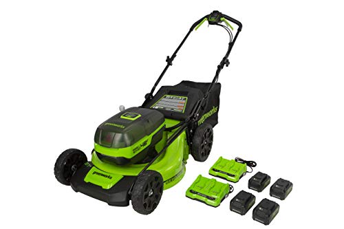 Greenworks 2 x 24V (48V) 21