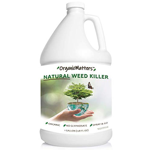 OrganicMatters Natural Weed Killer Spray, No Glyphosate, Results in Less ...