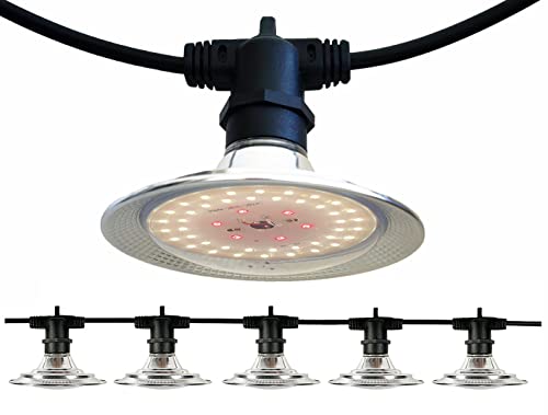 LED Outdoor Grow Lights String for Greenhouse Plants Waterproof 22FT(6 ...