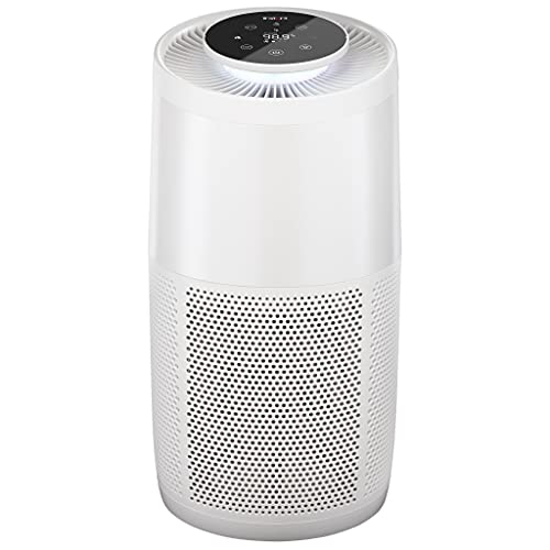 Instant HEPA Air Purifier for Home Allergens & Pet Danders, ...