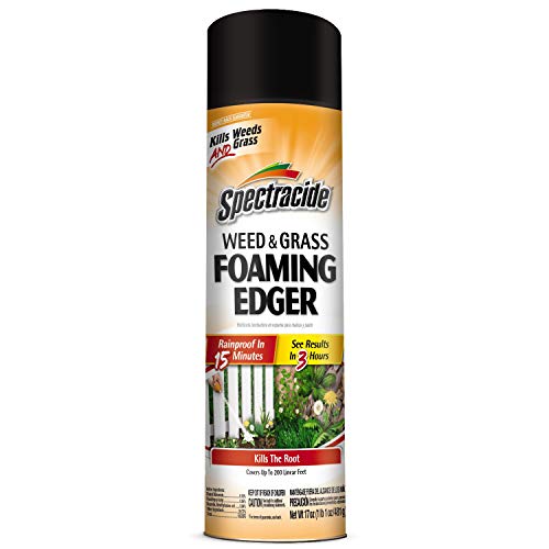 Spectracide Weed And Grass Foaming Edger 17 Ounces, Aerosol, For ...