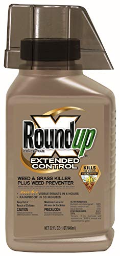 Roundup Concentrate Extended Control Weed & Grass Killer Plus Weed ...