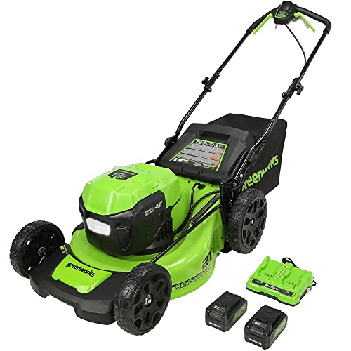 Greenworks 2 x 24V (48V) 21