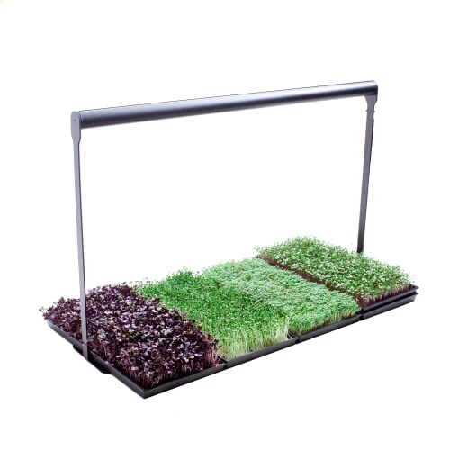 Indoor Garden | Microgreens Gardening Kit with Grow Light