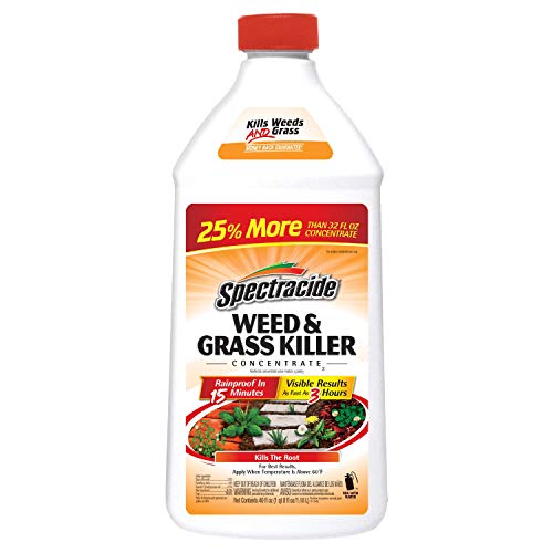 Spectracide Weed And Grass Killer Concentrate 40 Ounces, Use On ...