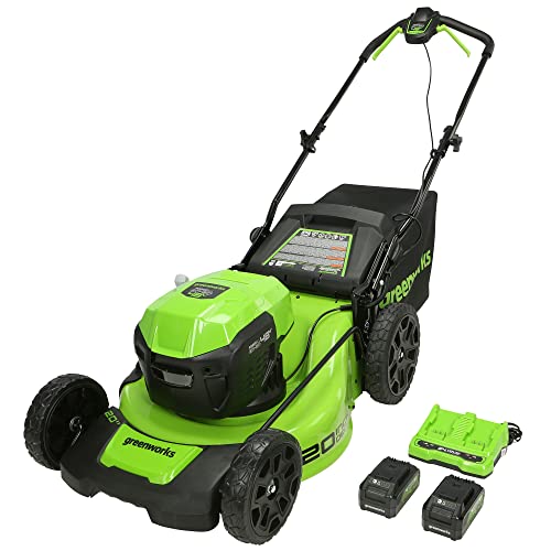 Greenworks 2 x 24V (48V) 20