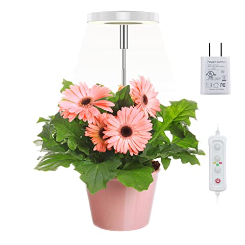 Techbee Plant Grow Light for Indoor Plants Full Spectrum Small ...