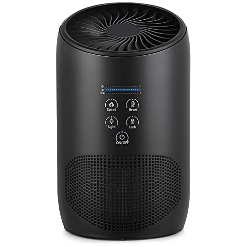 HEPA Air Purifiers for Home Bedroom, Smoke Air Cleaner with ...