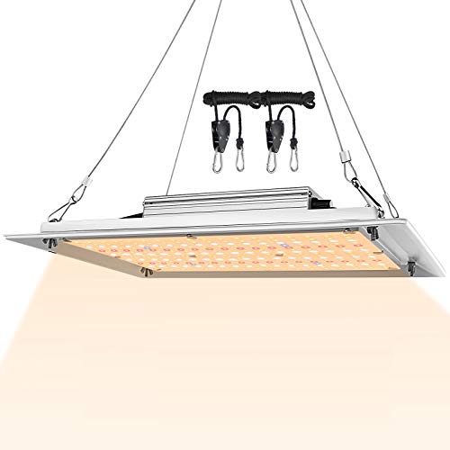 KQO 1200W Dimmable Grow Light Sunlike Full Spectrum Samsung Efficient ...