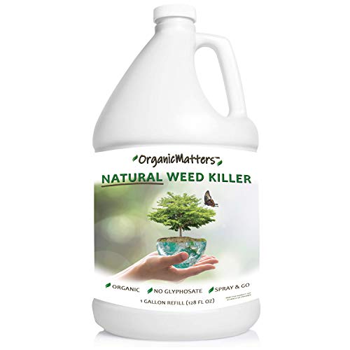 OrganicMatters Natural Weed Killer Spray, No Glyphosate, People, Pets and ...