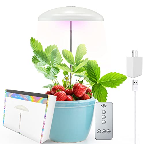 Grow Lights for Indoor Plants - Small Plant Light with ...