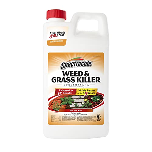 Spectracide 96451 HG-96451 Weed & Grass Killer Concentrate2 (HG-56201), 64 ...