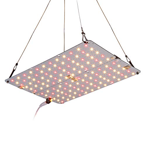 ACKE LED Grow Light for Indoor Plants,Plant Light for Grow ...
