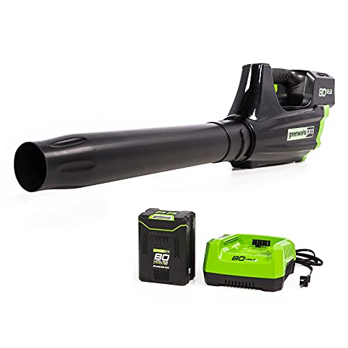Greenworks Pro 80V (125 MPH / 500 CFM) Cordless Axial ...