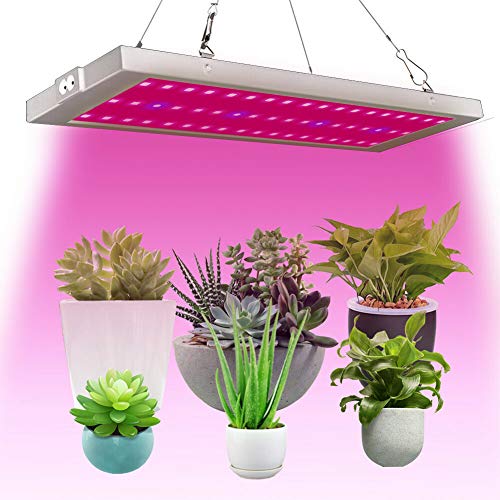 300W 54 LED Grow Lights, Full Spectrum Little Solid Grow ...