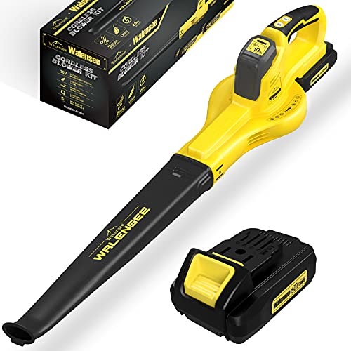 Leaf Blower - 20V Cordless Leaf Blower with Lithium Battery ...