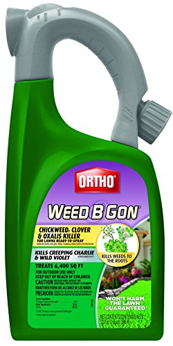 Ortho B Gon Chickweed Clover & Oxalis Weed Killer for ...
