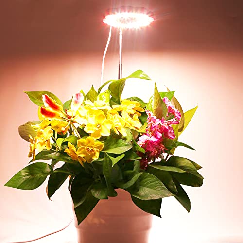 PDGROW LED Grow Light for Indoor Plants, Full Spectrum Plant ...