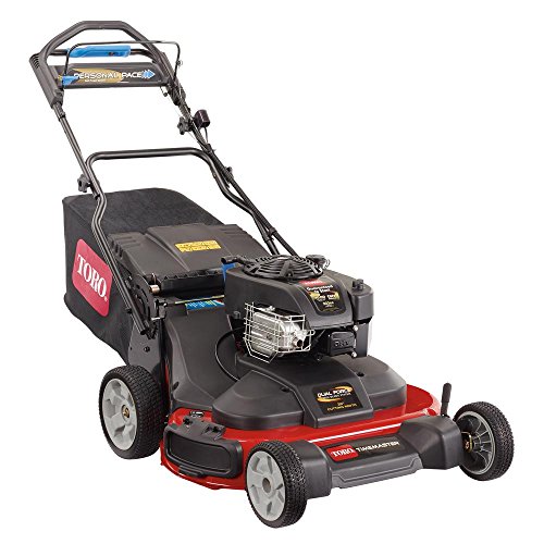 Toro TimeMaster 30 in. Briggs & Stratton Personal Pace Self-Propelled ...