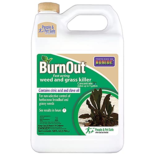 Bonide (BND7465) - Burnout Concentrate, Fast Acting Weed and Grass ...