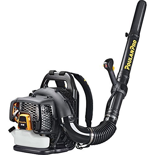 Poulan Pro PR48BT, 48cc 2-Cycle Gas 475 CFM 200 MPH ...