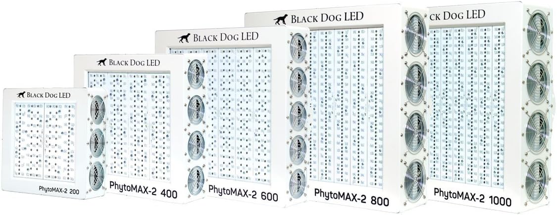 Black Dog Phytomax 2 LED 1000 diodes