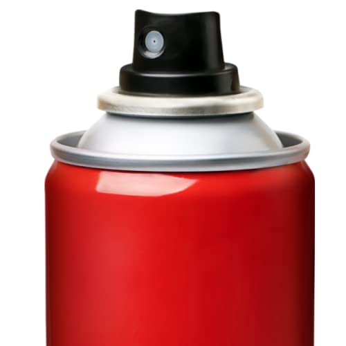 Spray can