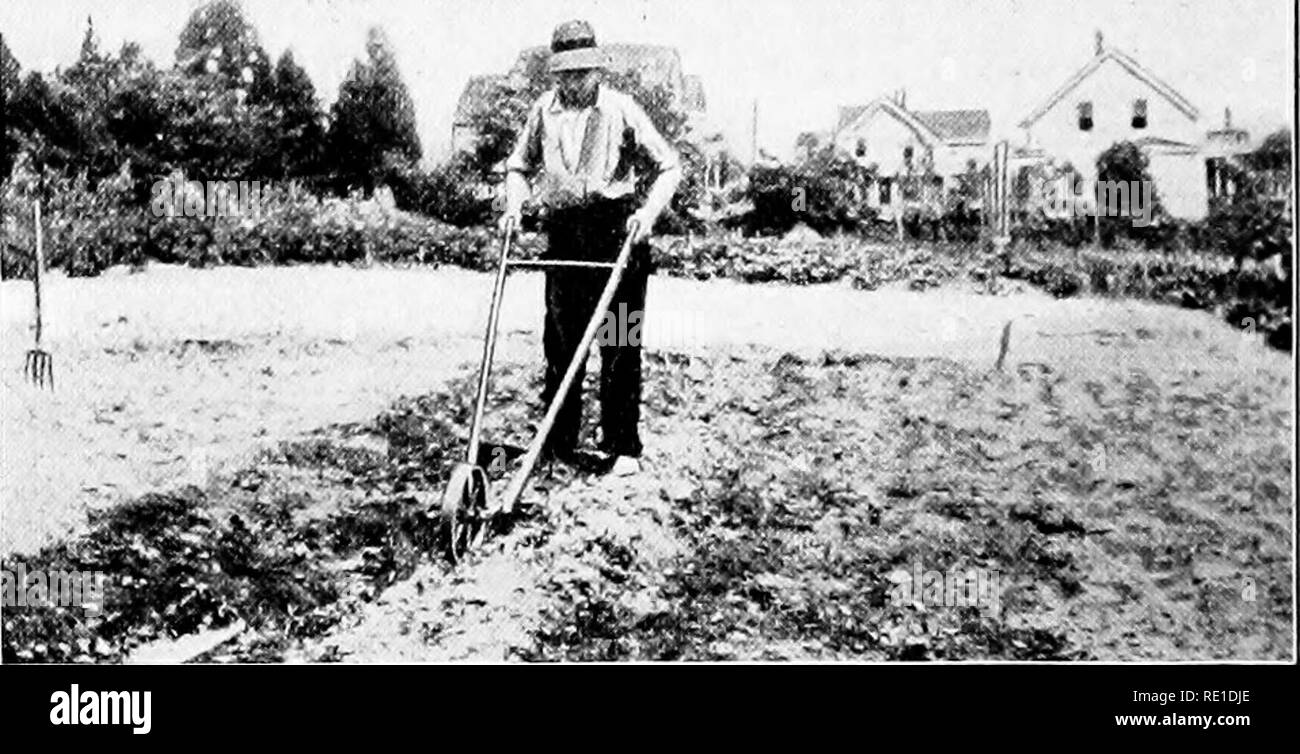 does turning over soil kill weeds