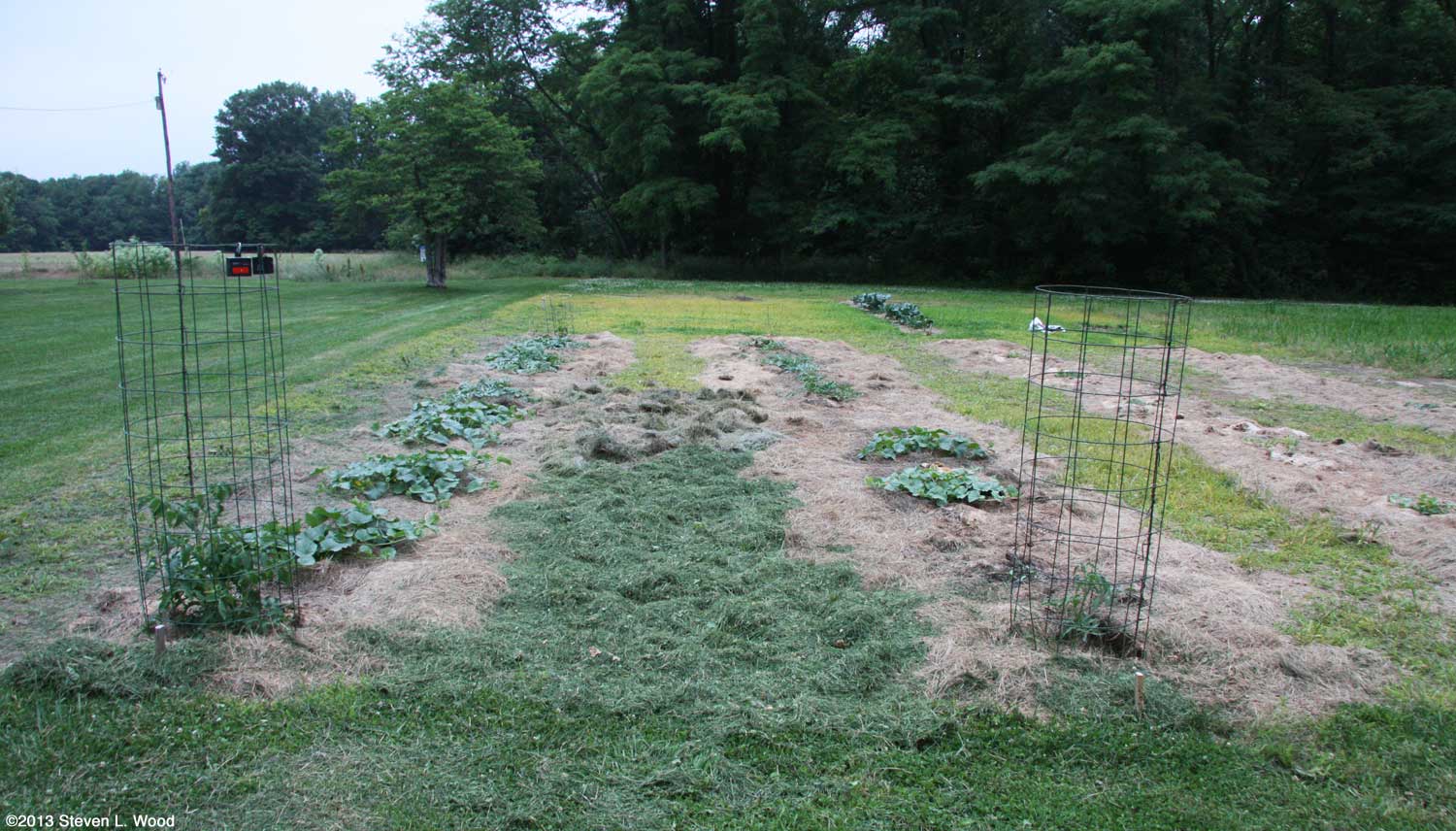 will grass clippings kill weeds