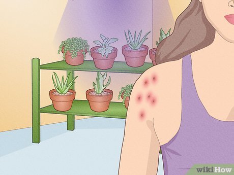 can led grow lights cause cancer