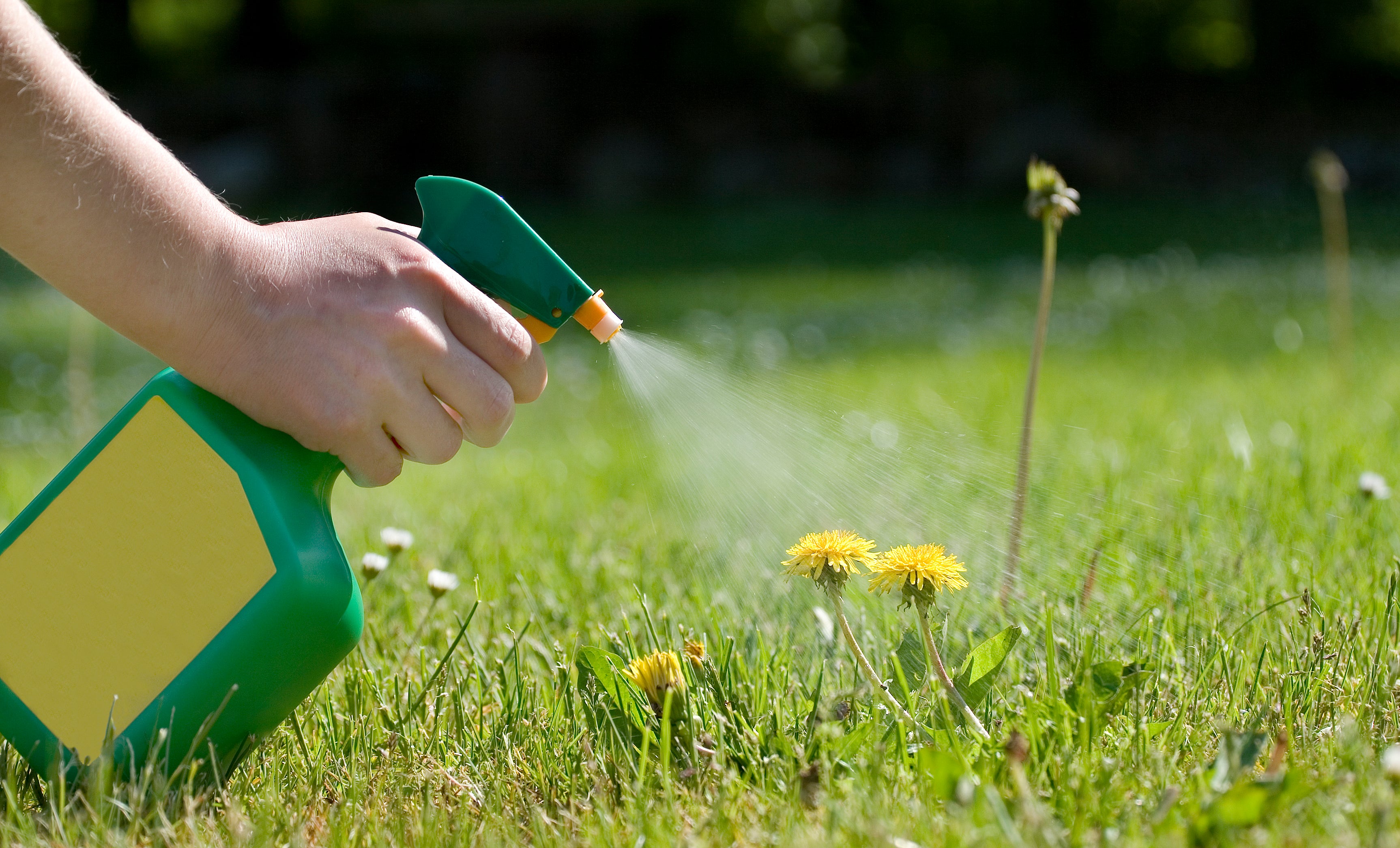is weed killer a pesticide