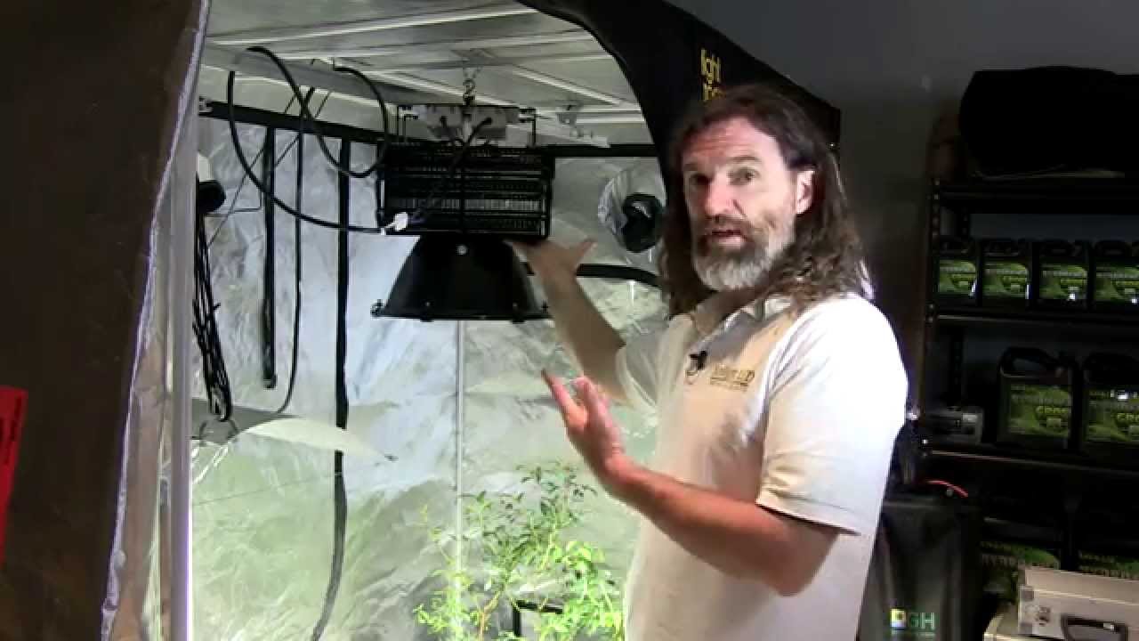 are grow lights as good as sunlight