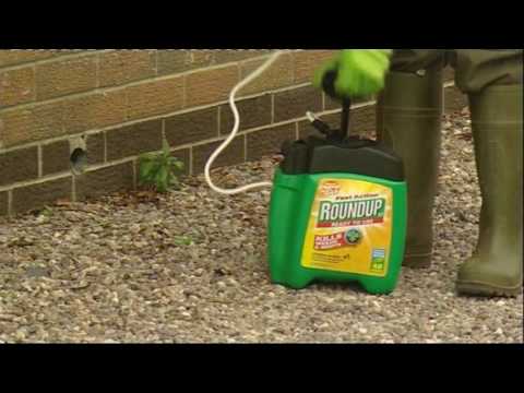 how to use roundup weed killer
