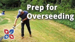 should i kill weeds before overseeding