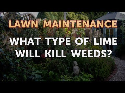 does lime kill weeds