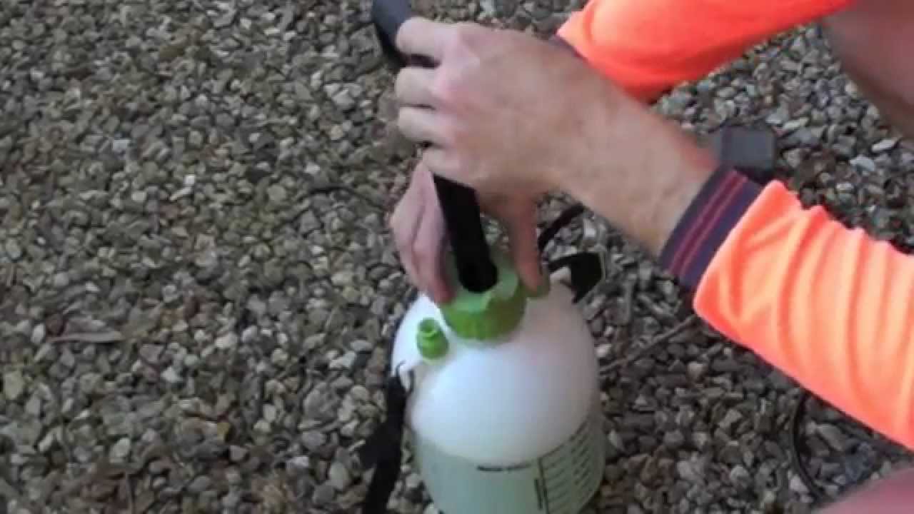 how often should i spray weed killer