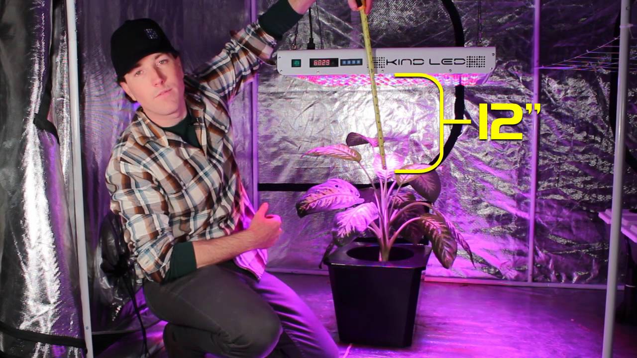 how long should a grow light be on