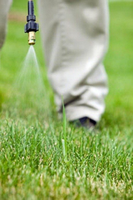 how long does weed killer stay in soil