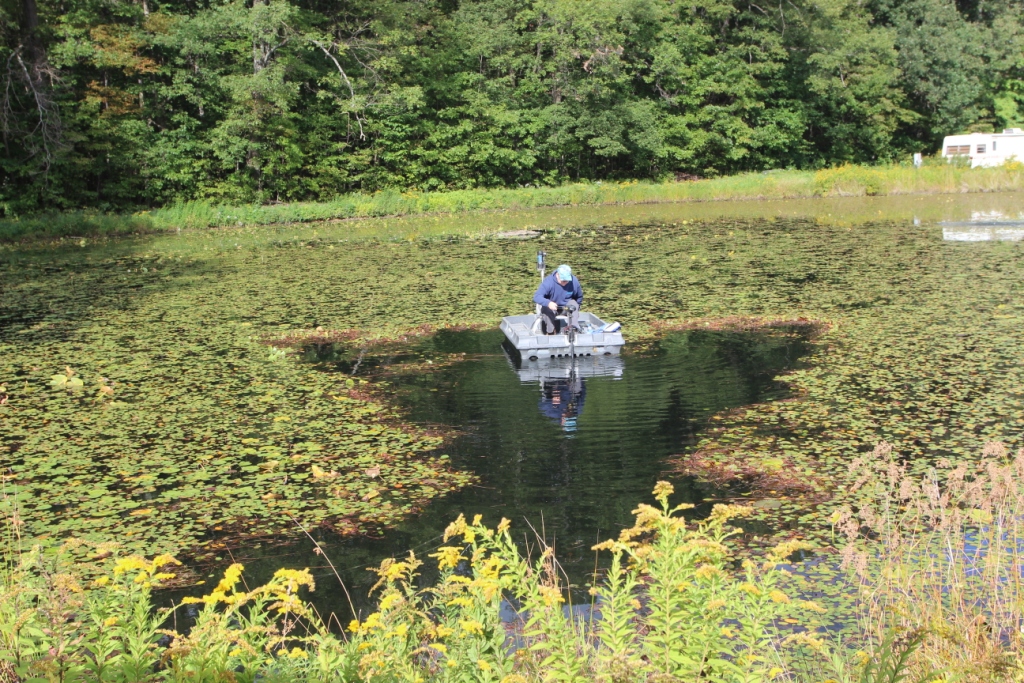 how to kill pond weeds