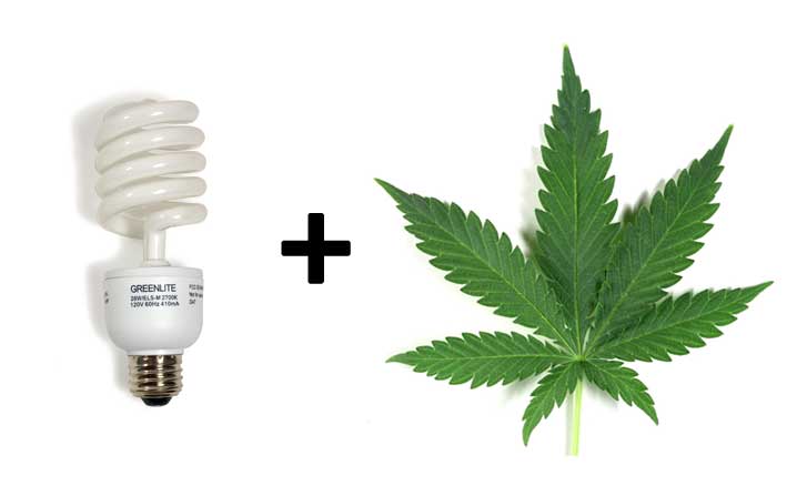 are cfl grow lights any good