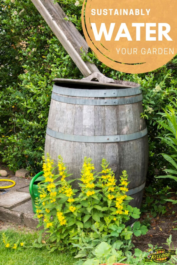how to water a garden without a hose