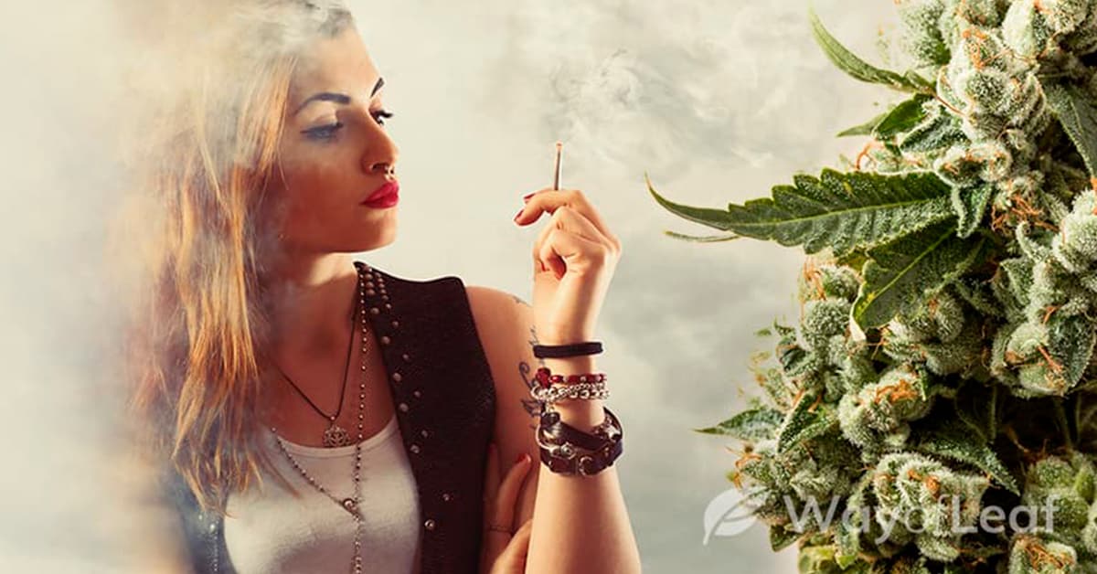 what kills weed smell