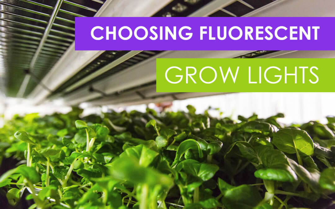 can you use fluorescent lights as grow lights