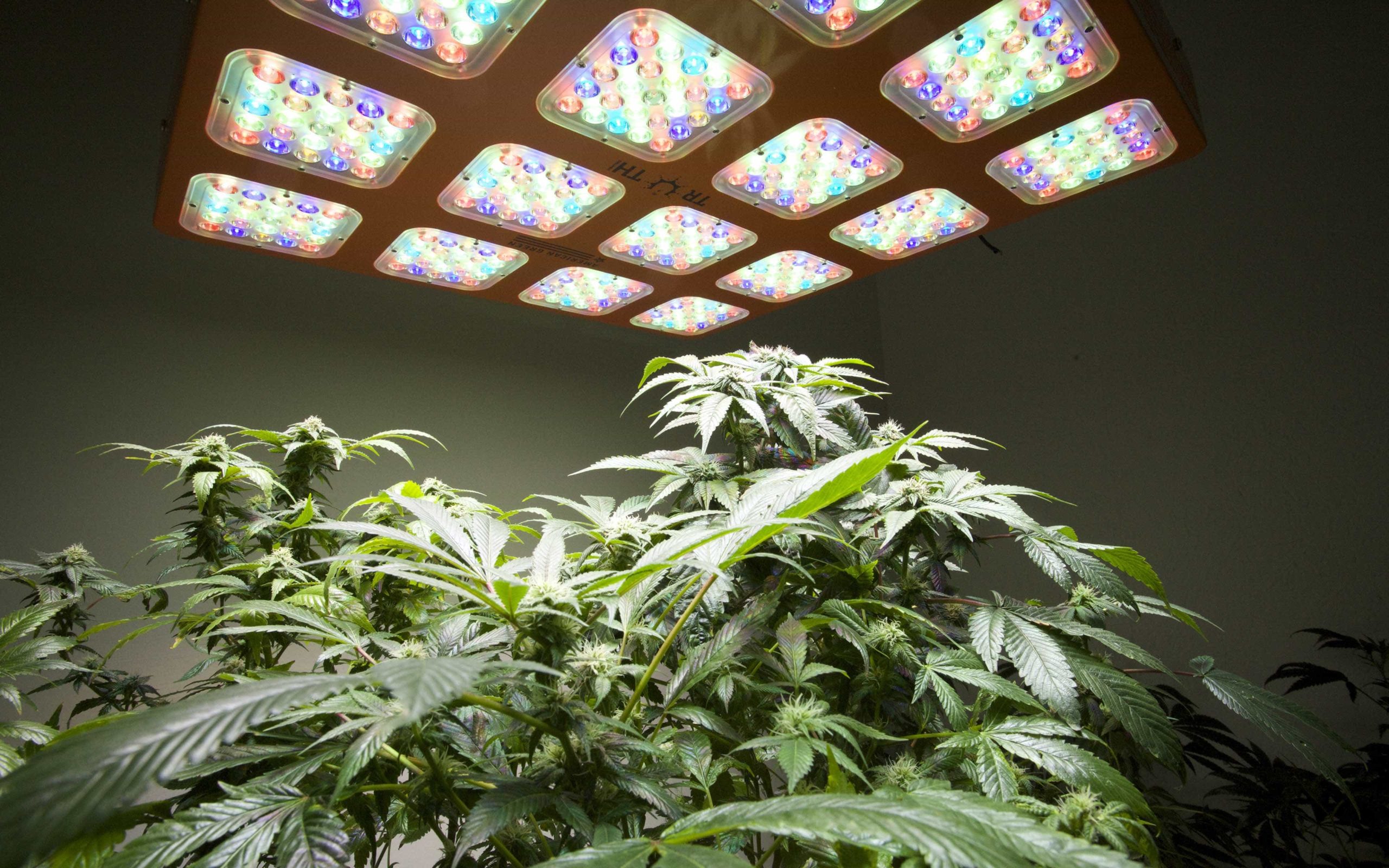 how many lumens do i need for a grow light